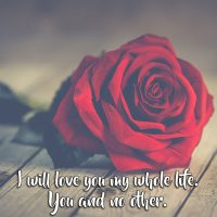 Valentine’s Day Quote